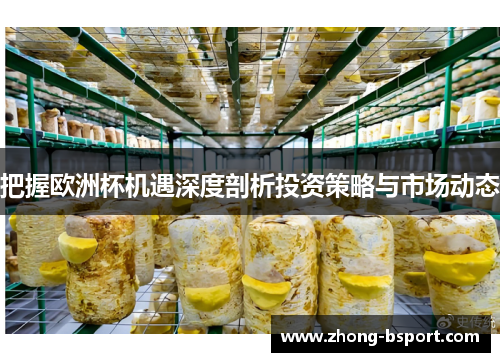 把握欧洲杯机遇深度剖析投资策略与市场动态